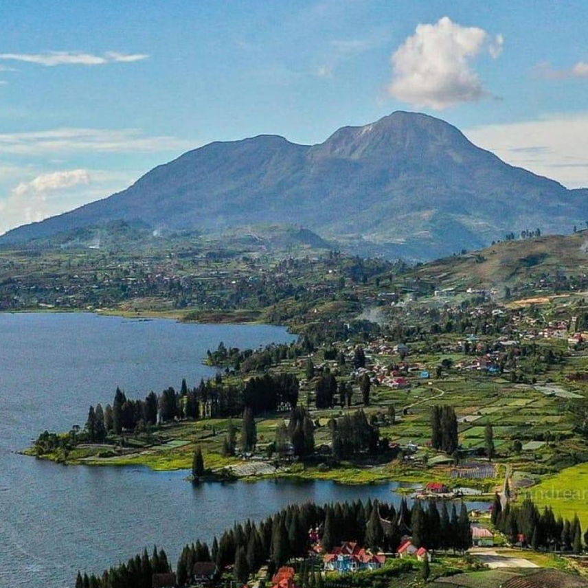Kebun Teh Alahan Panjang